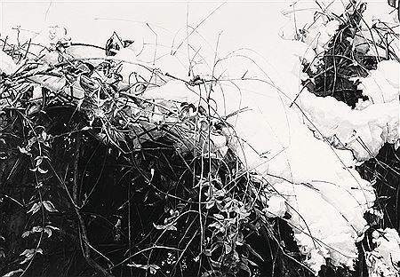 Deep Snow 19-2 by Hui Lu - Auction record, sale price, and art valuation. Compare with similar artists and explore comparable artworks.