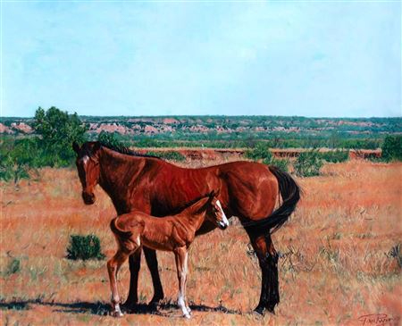 West Texas Foal by Tom Ryan III - Auction record, sale price, and art valuation. Compare with similar artists and explore comparable artworks.