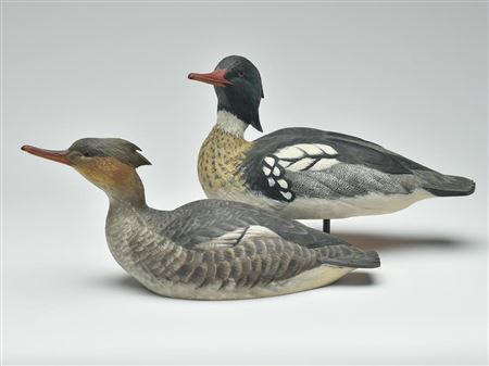 Pair of mergansers by John S Scheeler - Auction record, sale price, and art valuation. Compare with similar artists and explore comparable artworks.