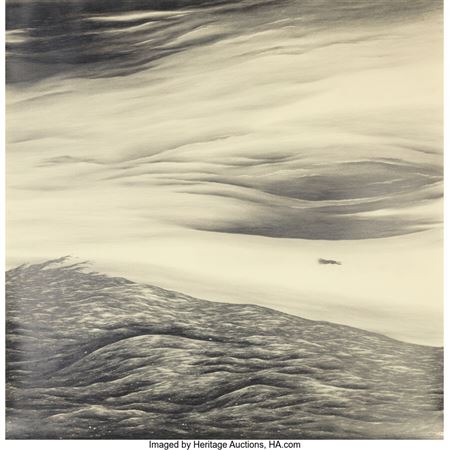 Sample artwork by Robyn O'Neil (Born 1977), known for graphite drawings-man and nature themes - View similar artists and auction records