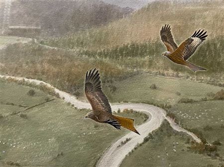 WELSH KITES by Philip Snow - Auction record, sale price, and art valuation. Compare with similar artists and explore comparable artworks.
