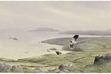 Lap Wings and Gulls in Flight, Ynys Enlli and Llyn Peninsula to background by Philip Snow - Auction record, sale price, and art valuation. Compare with similar artists and explore comparable artworks.