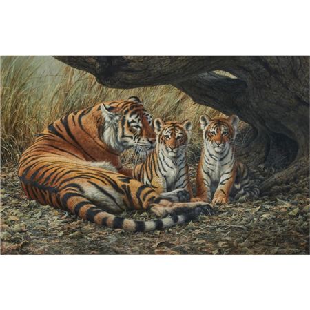 Tiger with Cubs by Jorge Mayol - Auction record, sale price, and art valuation. Compare with similar artists and explore comparable artworks.