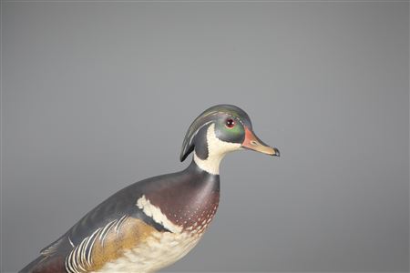 The Sporting Sale - Decoys 