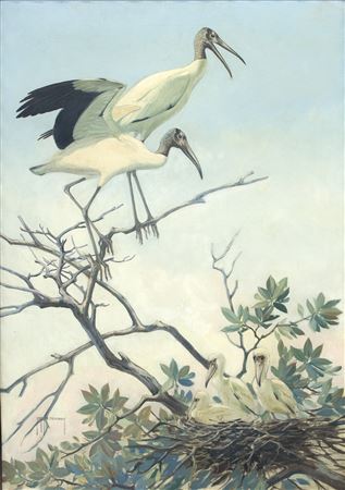 Wood Storks by Roger Tory Peterson - Auction record, sale price, and art valuation. Compare with similar artists and explore comparable artworks.