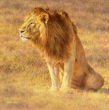 Brian Jarvi - artist photo