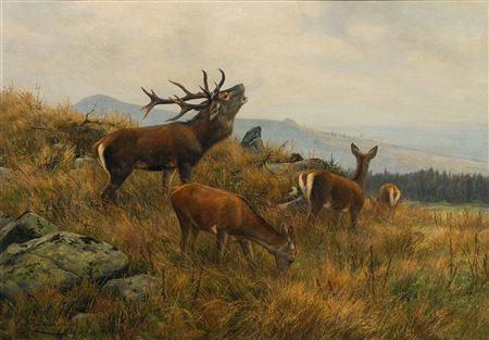 RED DEER by Carl Zimmermann - Auction record, sale price, and art valuation. Compare with similar artists and explore comparable artworks.