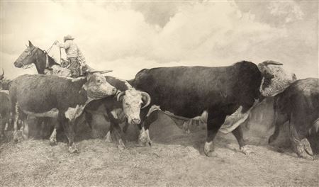 Woodrow Blagg - artist photo