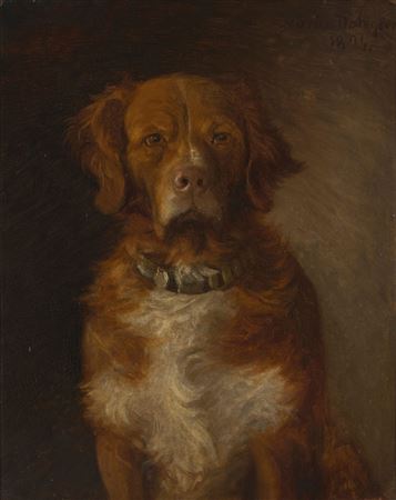 Nova Scotia Duck Tolling Retriever by Marius Dahlgren - Auction record, sale price, and art valuation. Compare with similar artists and explore comparable artworks.