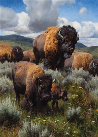 Sample artwork by Kyle Sims (Born 1980), known for wildlife in landscape painting - View similar artists and auction records