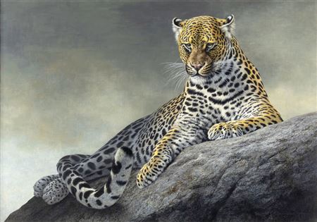 Powerful Presence - Leopard by Jorge Mayol - Auction record, sale price, and art valuation. Compare with similar artists and explore comparable artworks.