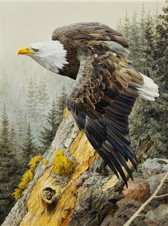 America on the Rise by Carl Brenders - Auction record, sale price, and art valuation. Compare with similar artists and explore comparable artworks.