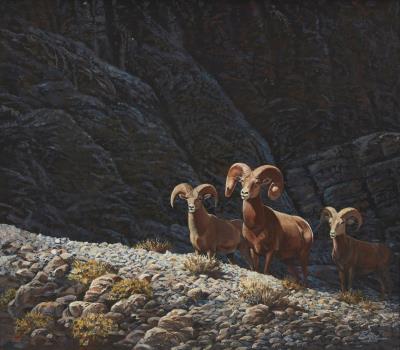 Fred Boyce - artist photo for art wanted listing (Carson City, NV)