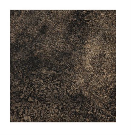 Bibliothèque Jacques Dauchez Autour de Dubuffet