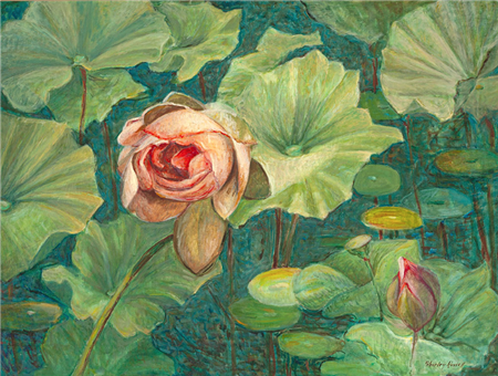 Lotus Flowers