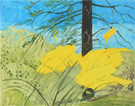Forsythia, April