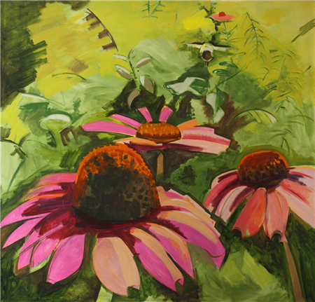 Cone Flowers