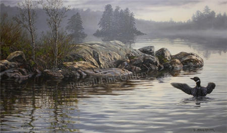 LOON POINT