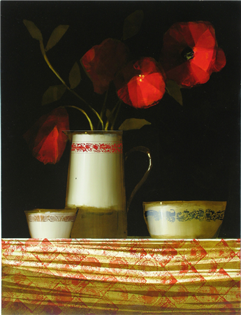 Oriental Poppies & Ceramics