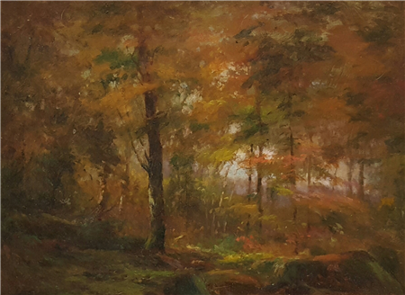 Forest Clearing - Image 1 of 2