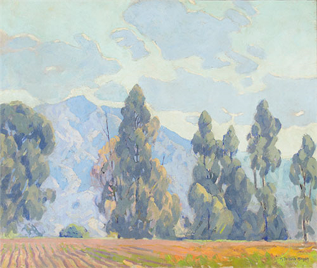 Farm with Eucalyptus