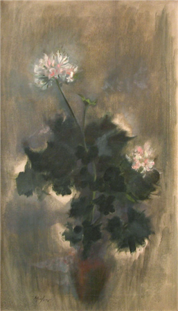 Geranium