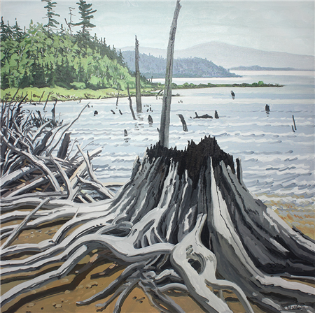 Flotsam Allagash