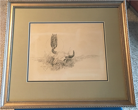 Owl on Buffalo Skull