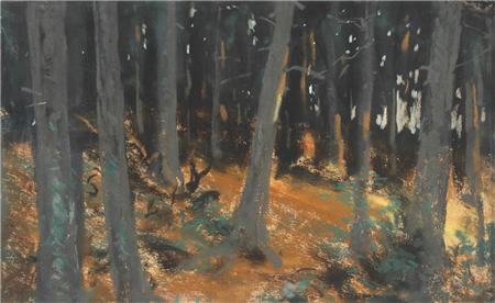 The Woods at Sunset