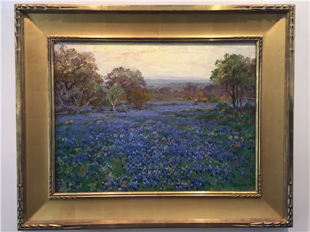 Blue Bonnets at Twilight