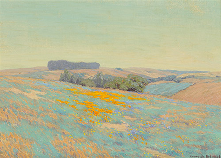 Poppies and Lupine