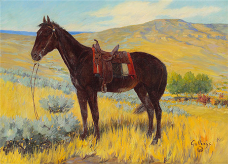 The Cowboy’s Horse