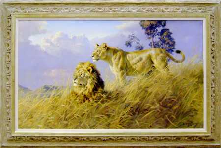 African Evening - Lions