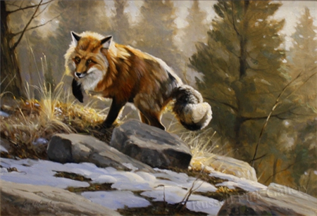 MORNING HUNT - FOX AND FIELD MOUSE