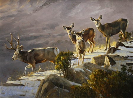 MULE DEER - INTO THE CANYON