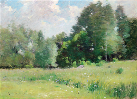 A Summer Meadow