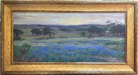 Bluebonnets at Sunset