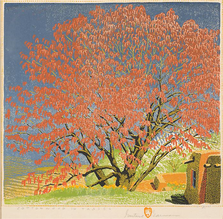 Gustave Baumann "Cottonwood Tassels"