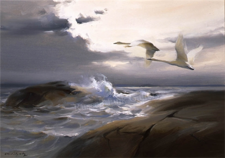 NORTHWINDS - SWANS