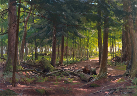 Ojibwe Sunrise: Madeline Island, WI