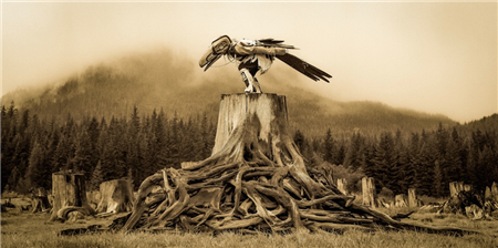 Raven Tells His Story in the Fog