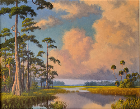 The Everglades