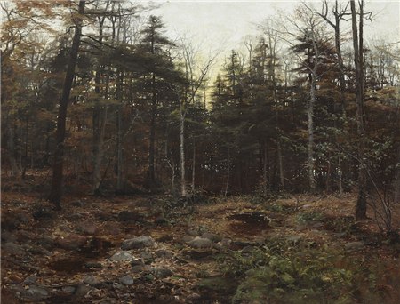 Woodland Scene