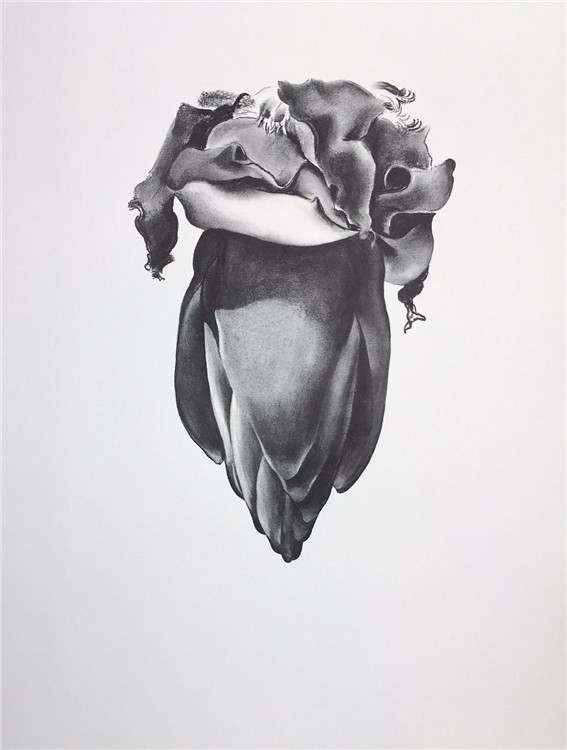 DRAWINGS - Image 2 of 4