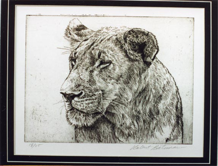 Wildlife Etchings Set of 5 - Image 4 of 4