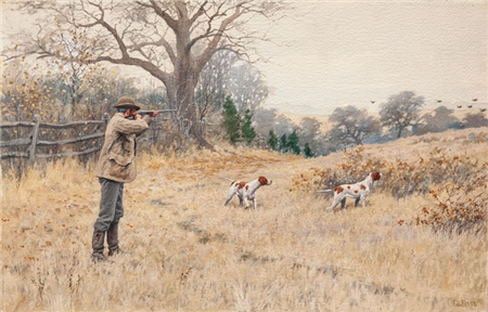 Quail - A Covey Rise