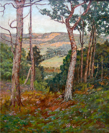 Connecticut Hills - Image 1 of 2