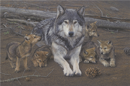 Nurturing Nature