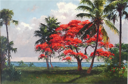 Royal Poinciana on the Indian River