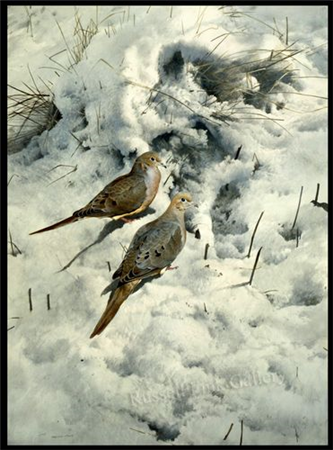 EARLY SNOW - MOURNING DOVES